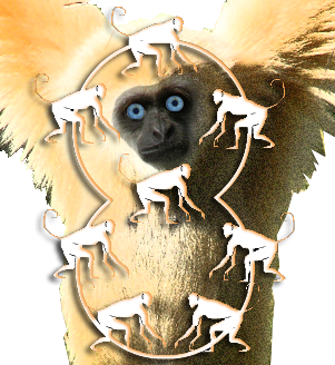 8 Web Monkeys Design